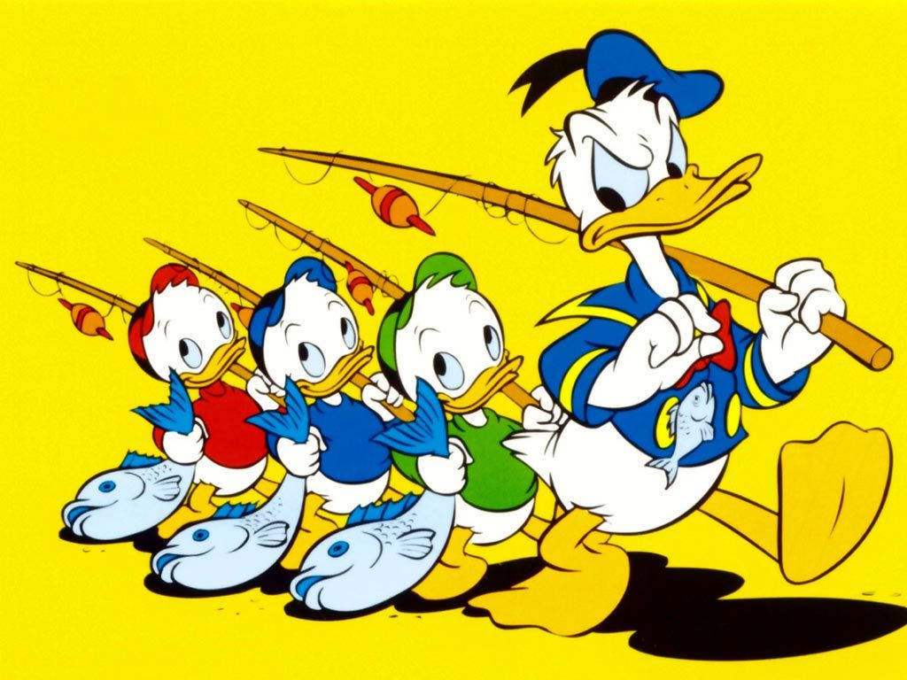 1024x768 Donald Duck Hd Wallpaper For Ipad Wallpaper