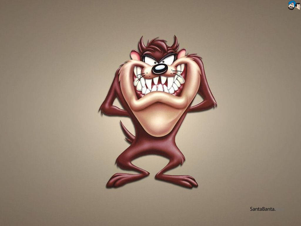 1024x768 Tasmanian Devil Wallpaper 1024x768 Wallpaper