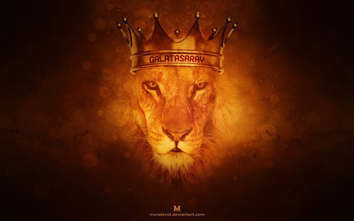 1131x707 Galatasaray Lion Wallpaper Wallpaper