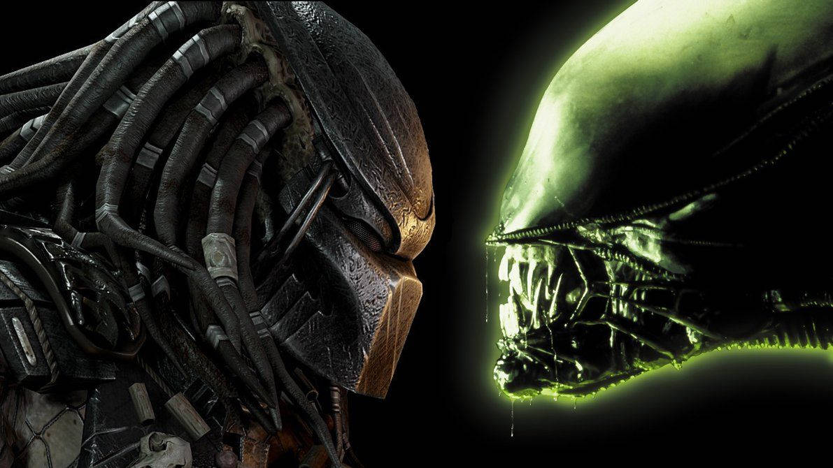 1191x670 X 1080p Alien Vs Predator Wallpaper Wallpaper