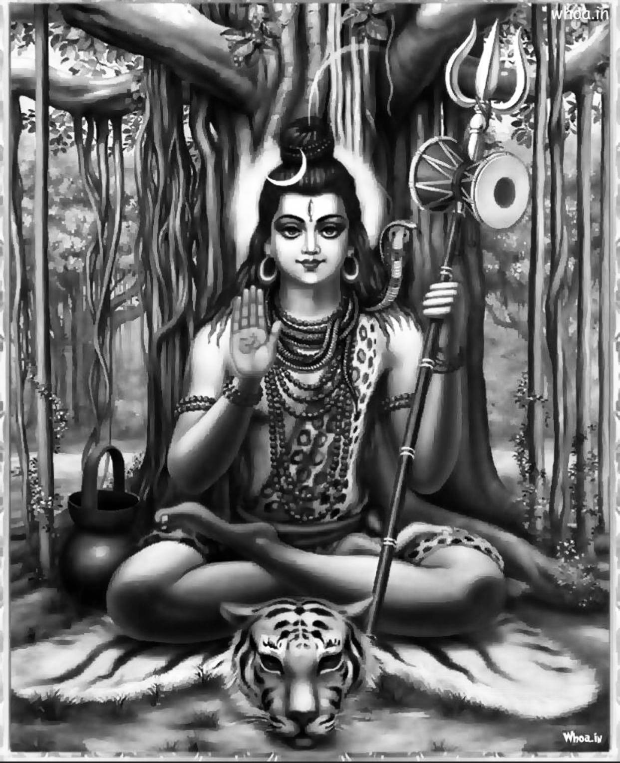 1242x1529 Lord Shiva Wallpaper Wallpaper