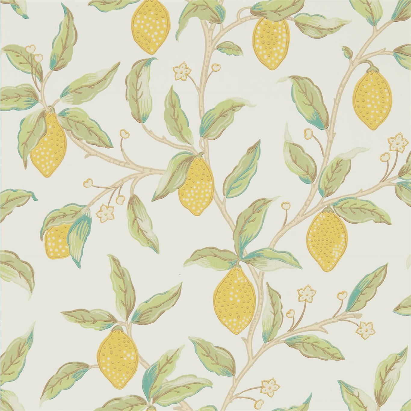 1366x1366 Morris And Co Lemon Tree Bay Leaf Wallpaper 216672 Wallpaper