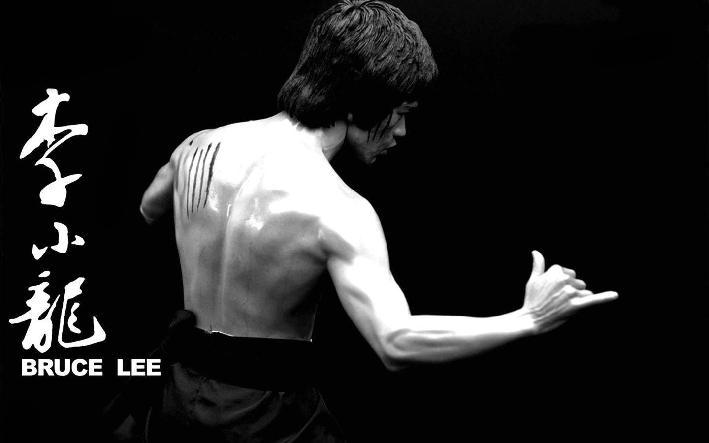 1440x900 Bruce Lee Wallpaper And Background Image Wallpaper