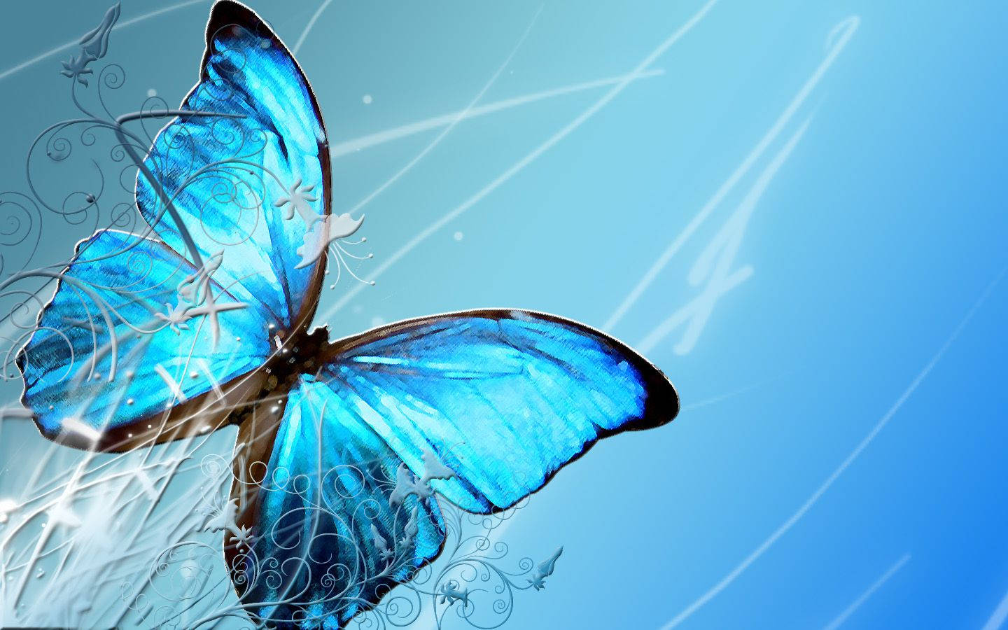 1440x900 Butterfly Wallpaper High Quality Hd Wallpaper Wallpaper