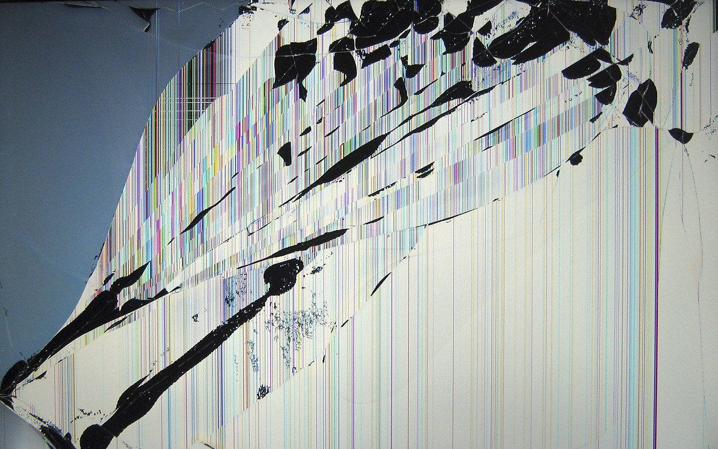 1440x900 Cracked Screen Hd Wallpaper Wallpaper