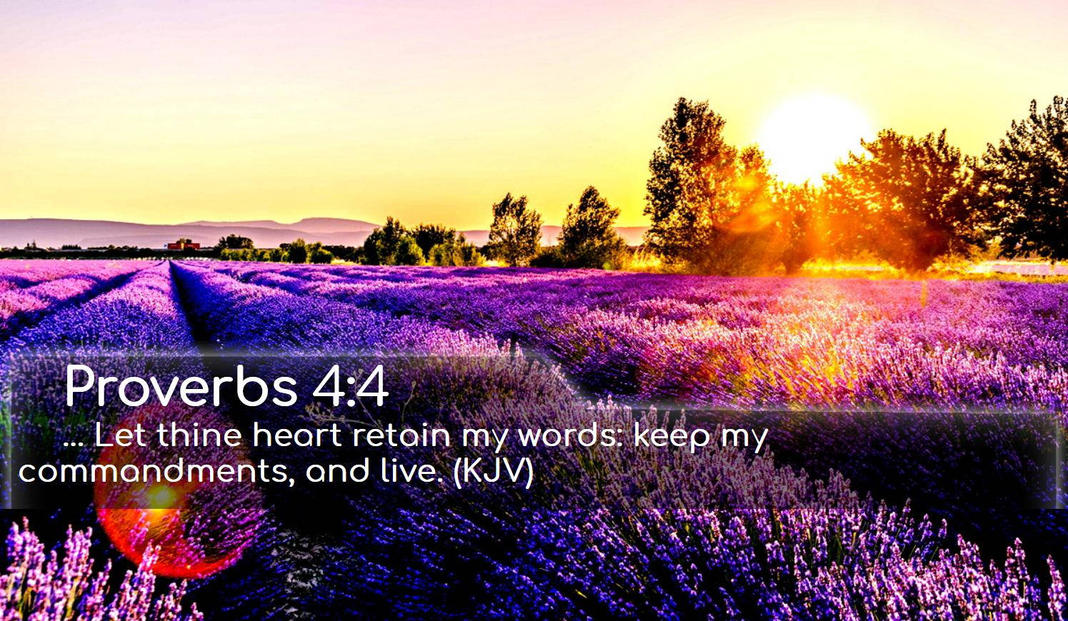 1495x870 Bible Wallpaper - Bible Verse Wallpaper 22 Wallpaper