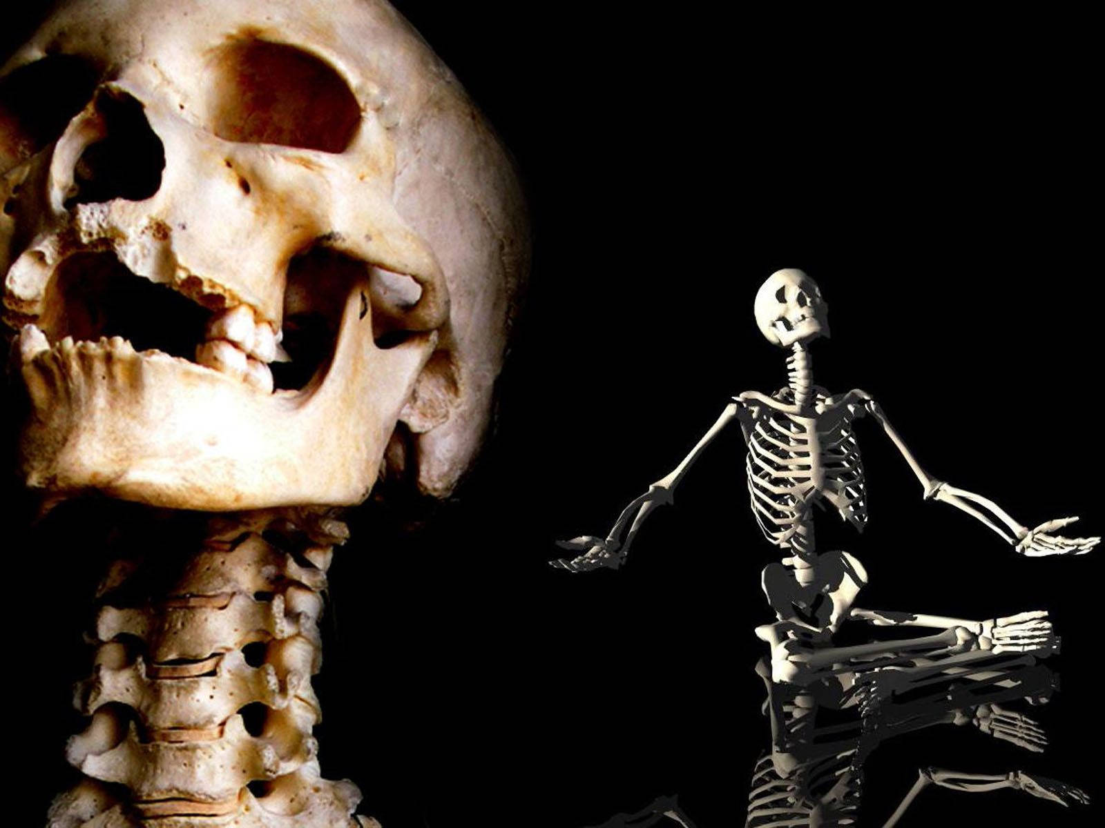 1600x1200 Skeleton Wallpaper - Wallpaper Picture Gallery Wallpaper