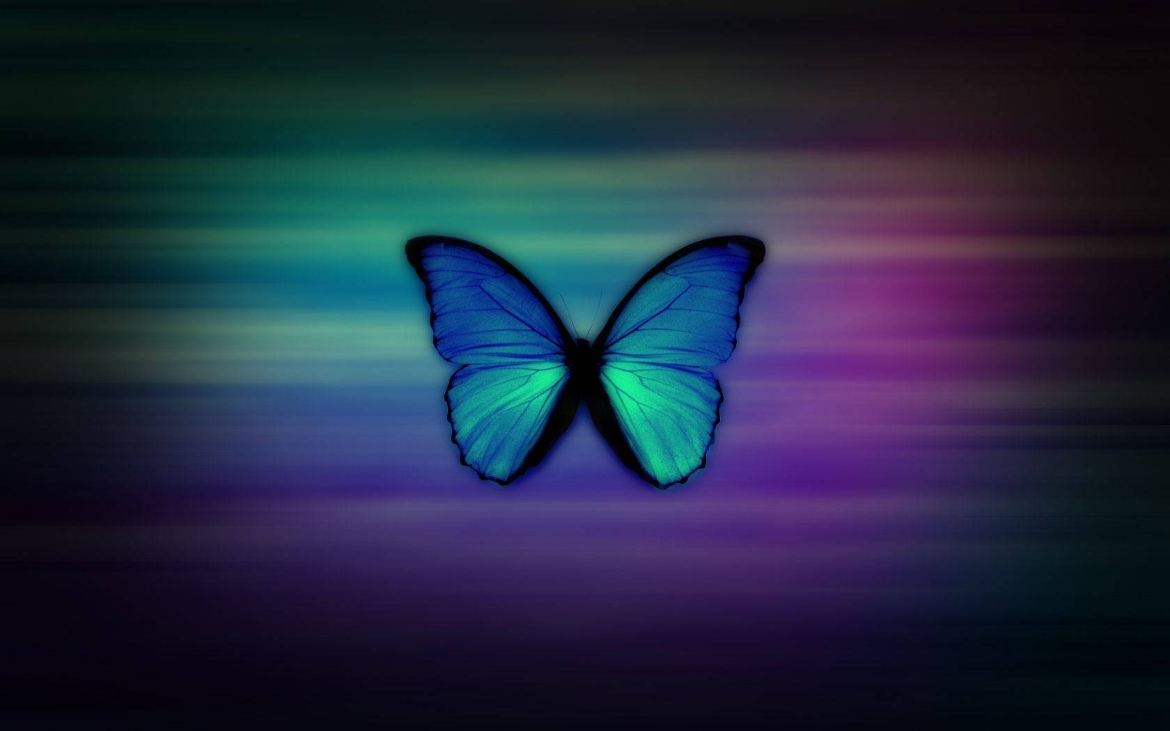 1680x1050 Girly Wallpaper Butterfly – Best Wallpaper Download Wallpaper