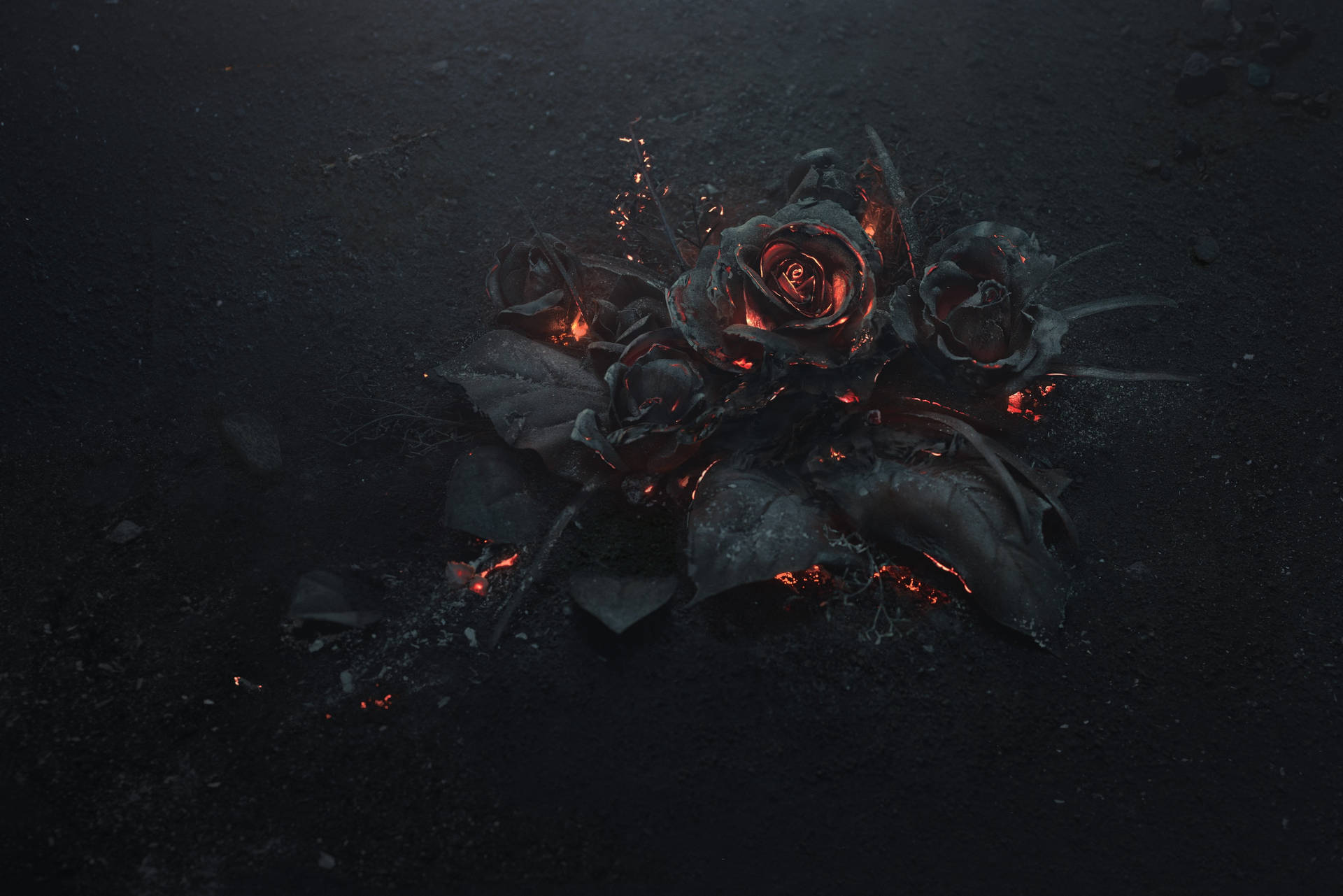 1920x1080 Hd Flower Black Wallpaper