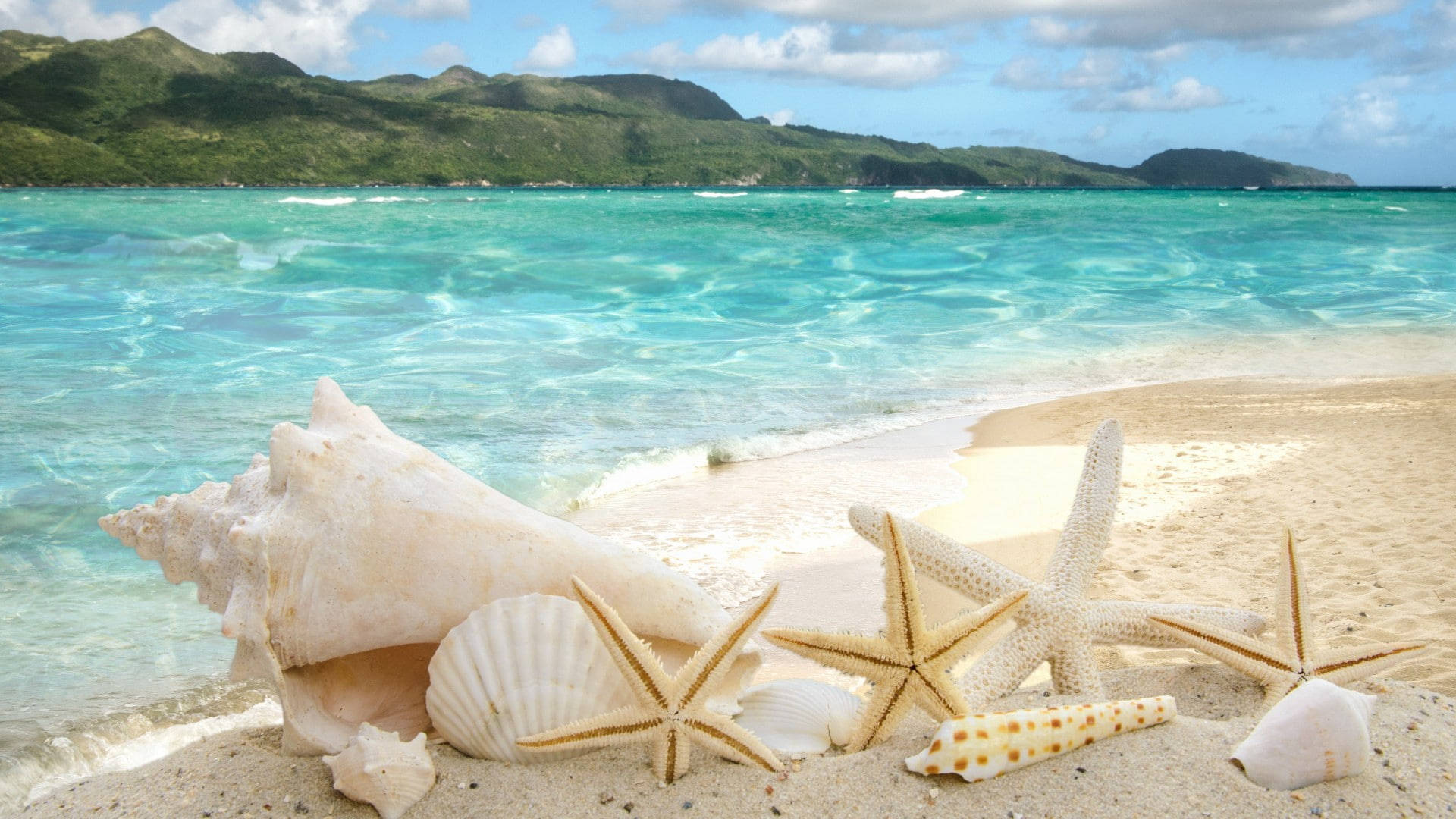 1920x1080 Hd Summer Seashells Wallpaper