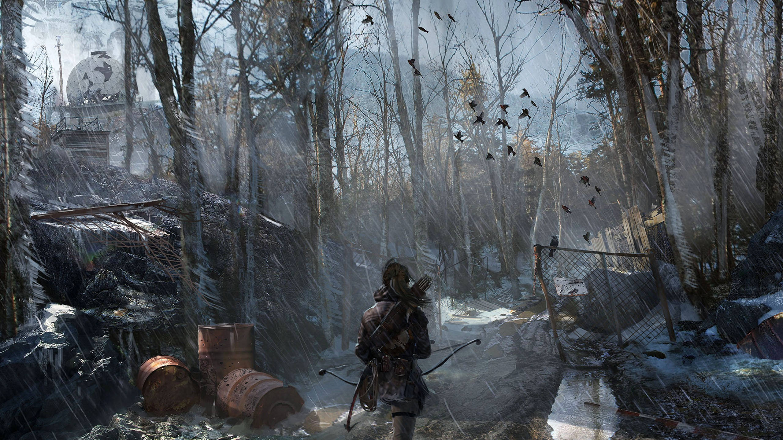 2560 X 1440 Tom Raider Snowy Forest Wallpaper