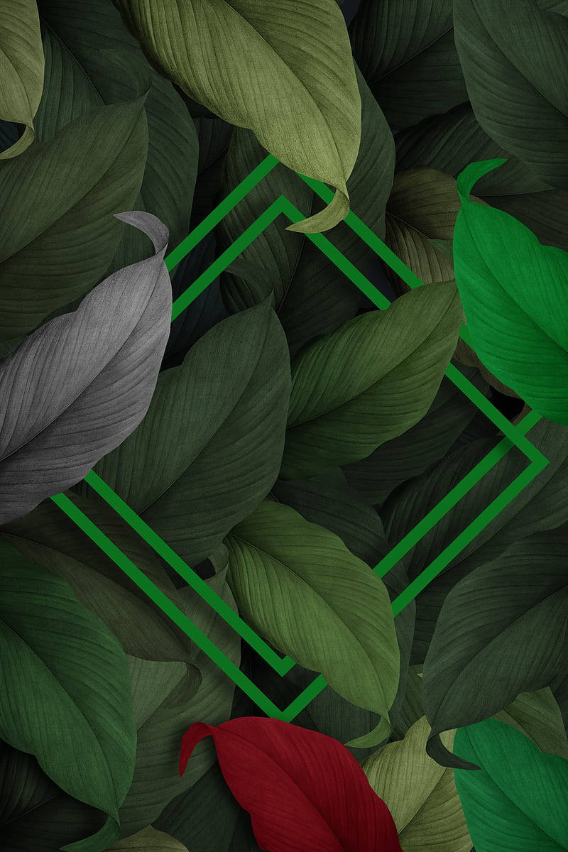 3d Hijau Leaves Wallpaper