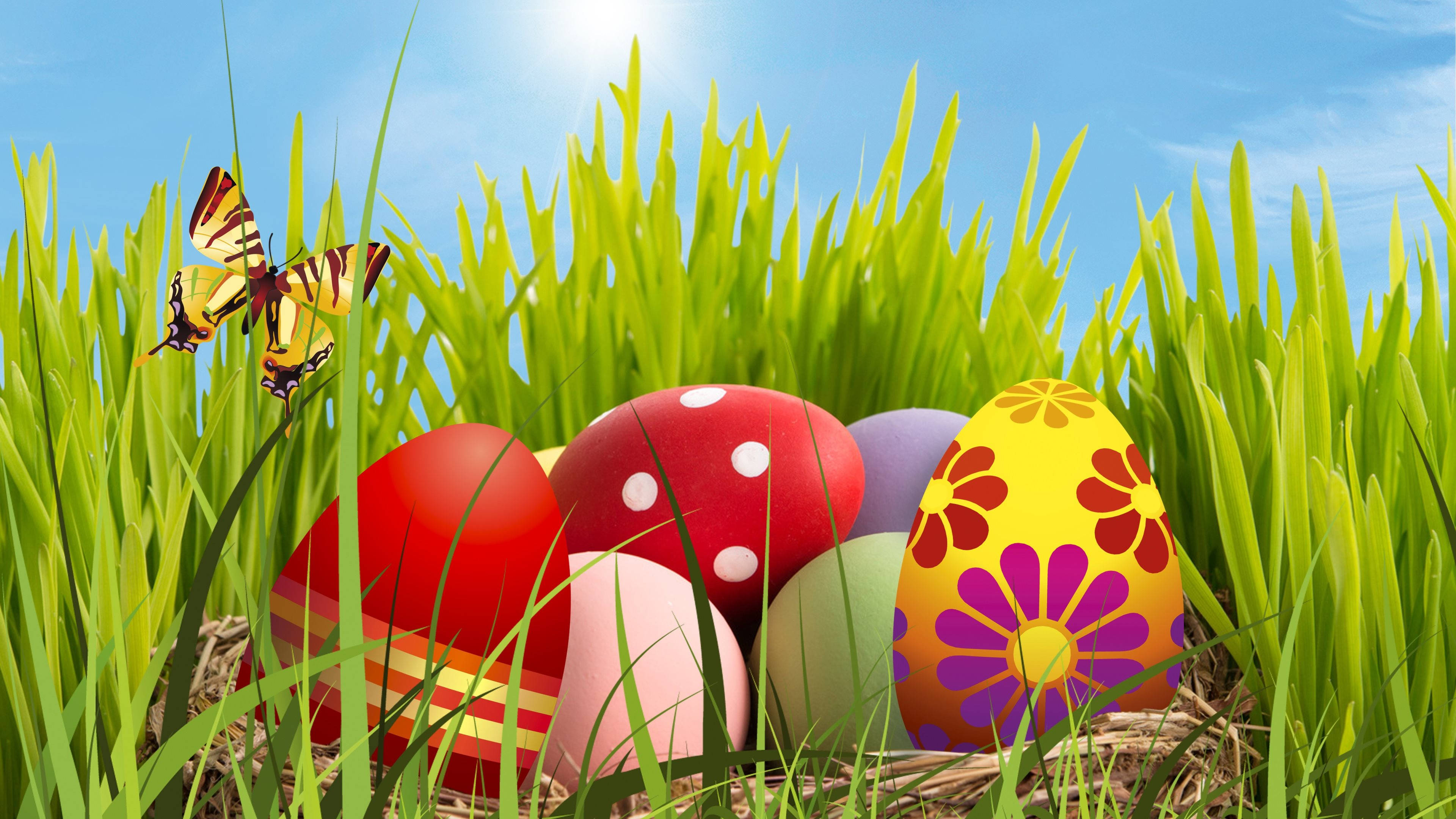 4k Green Grass With Easter Eggs Wallpaper