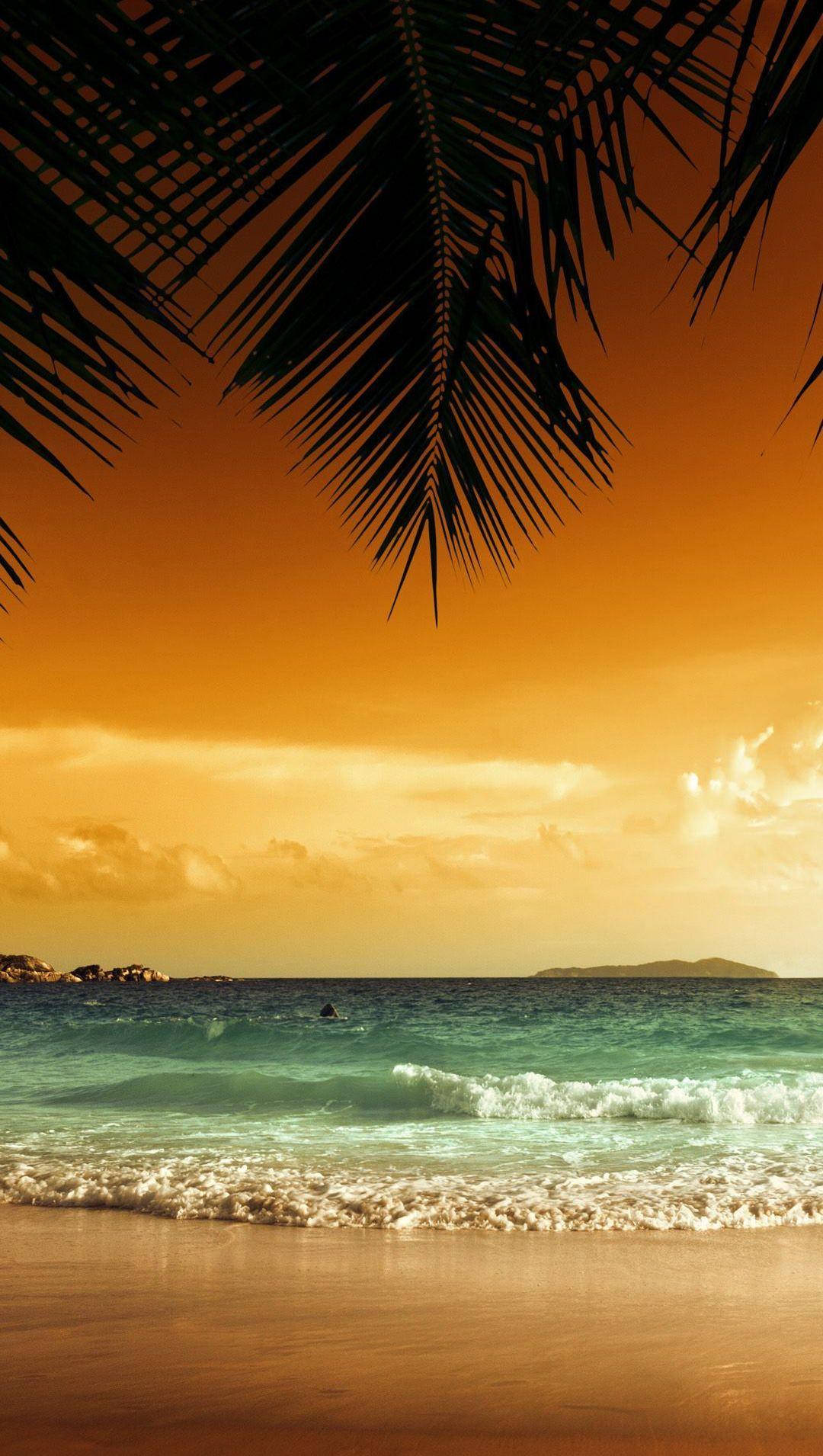 4k Iphone Coconut Leaves Sunset Beach Wallpaper