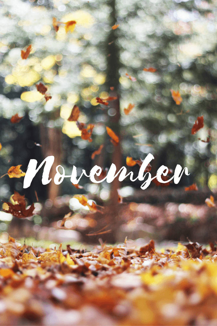 735x1102 Hello, November Leaves Falling.. Graphic Wallpaper