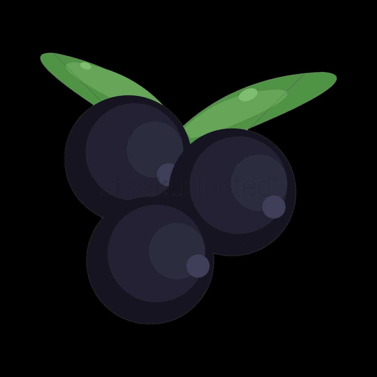 A Cute Blackcurrant Wallpaper