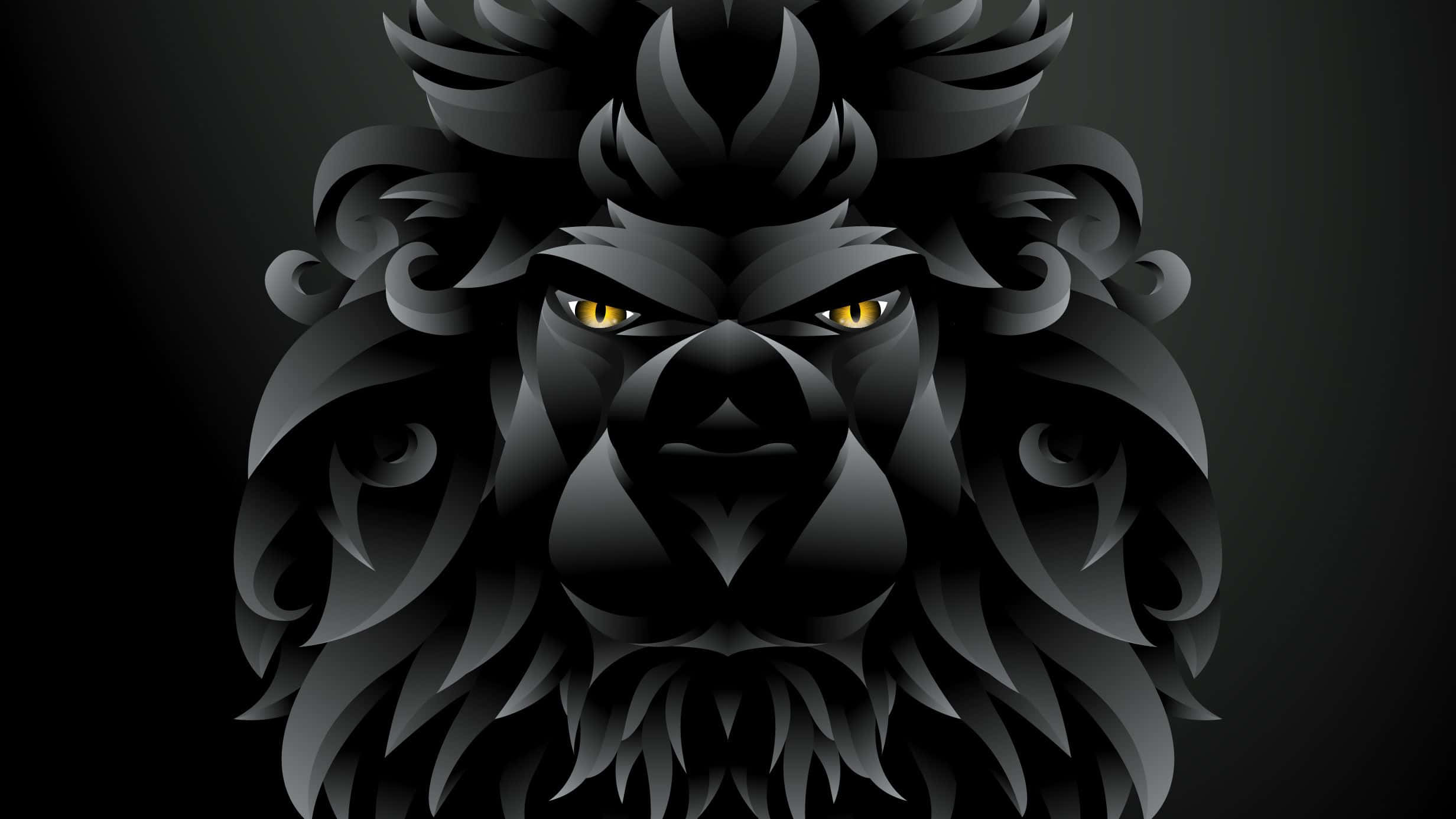 A Male Black Lion Proudly Shows His Dominance Wallpaper