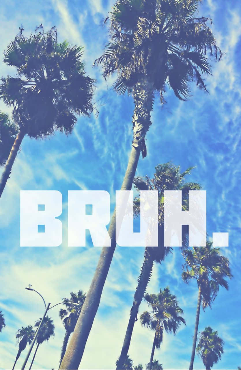 A Photo Of Palm Trees With The Word Brh Wallpaper
