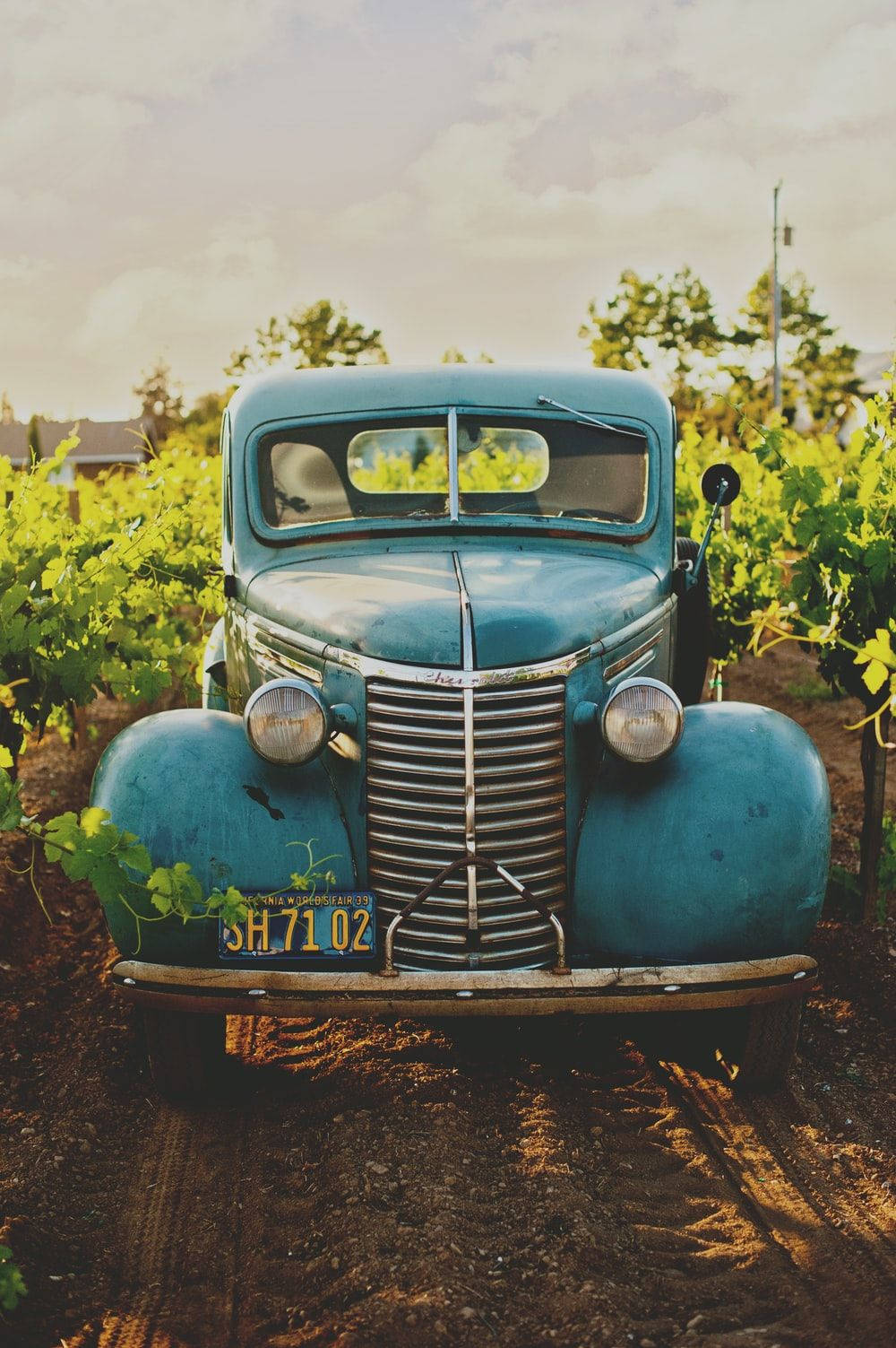 Abandoned Blue Retro Car Shrubs Phone Wallpaper