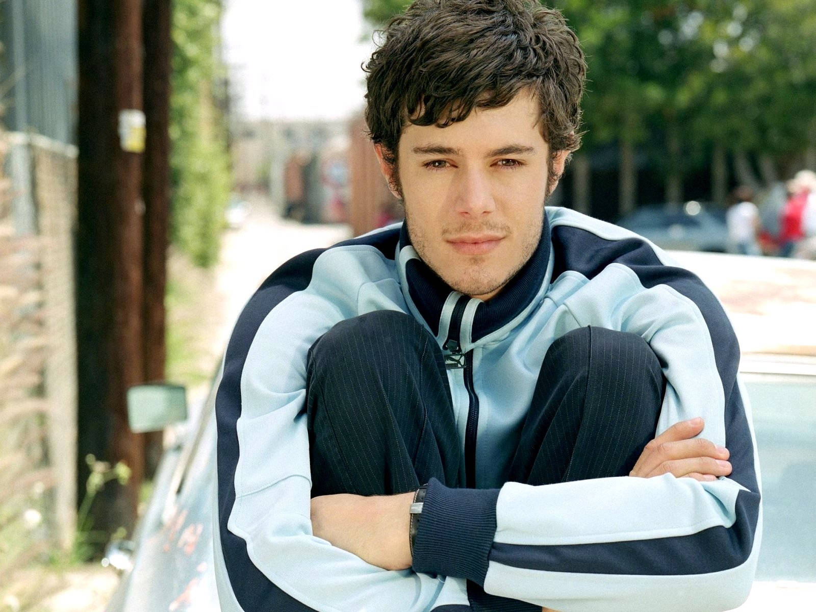 Adam Brody Tracksuit Wallpaper