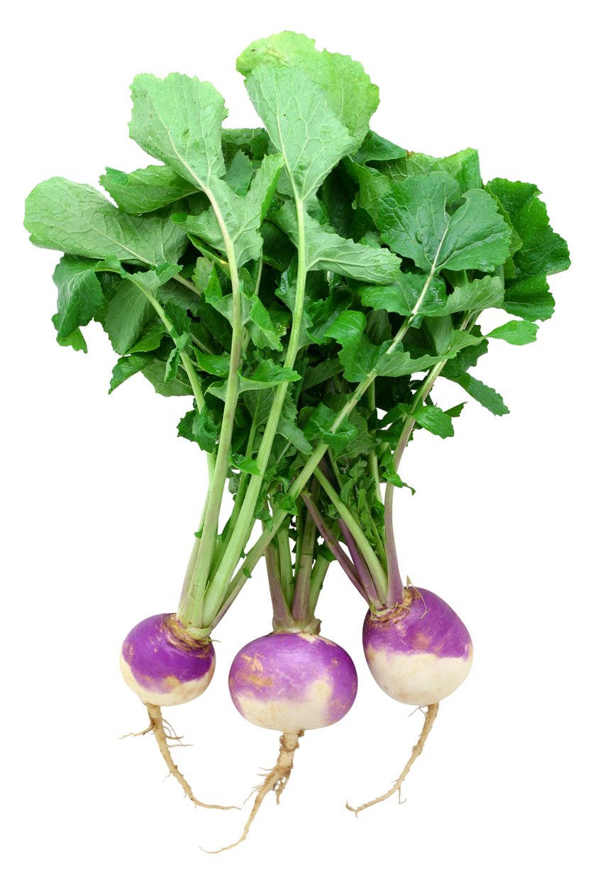 Aesthetic Bunch Of Turnips Wallpaper