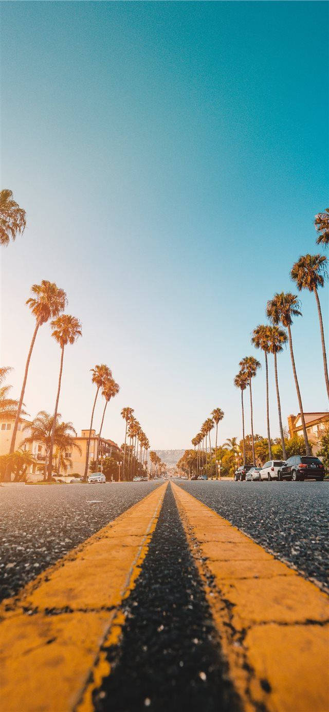 Aesthetic Iphone X Palmed Road Wallpaper