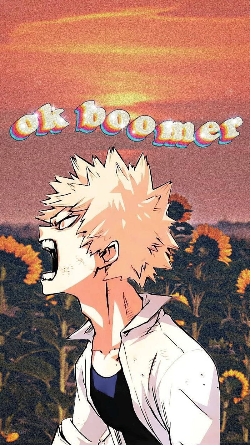 Aesthetic My Hero Academia Katsuki Bakugo Ok Boomer Wallpaper