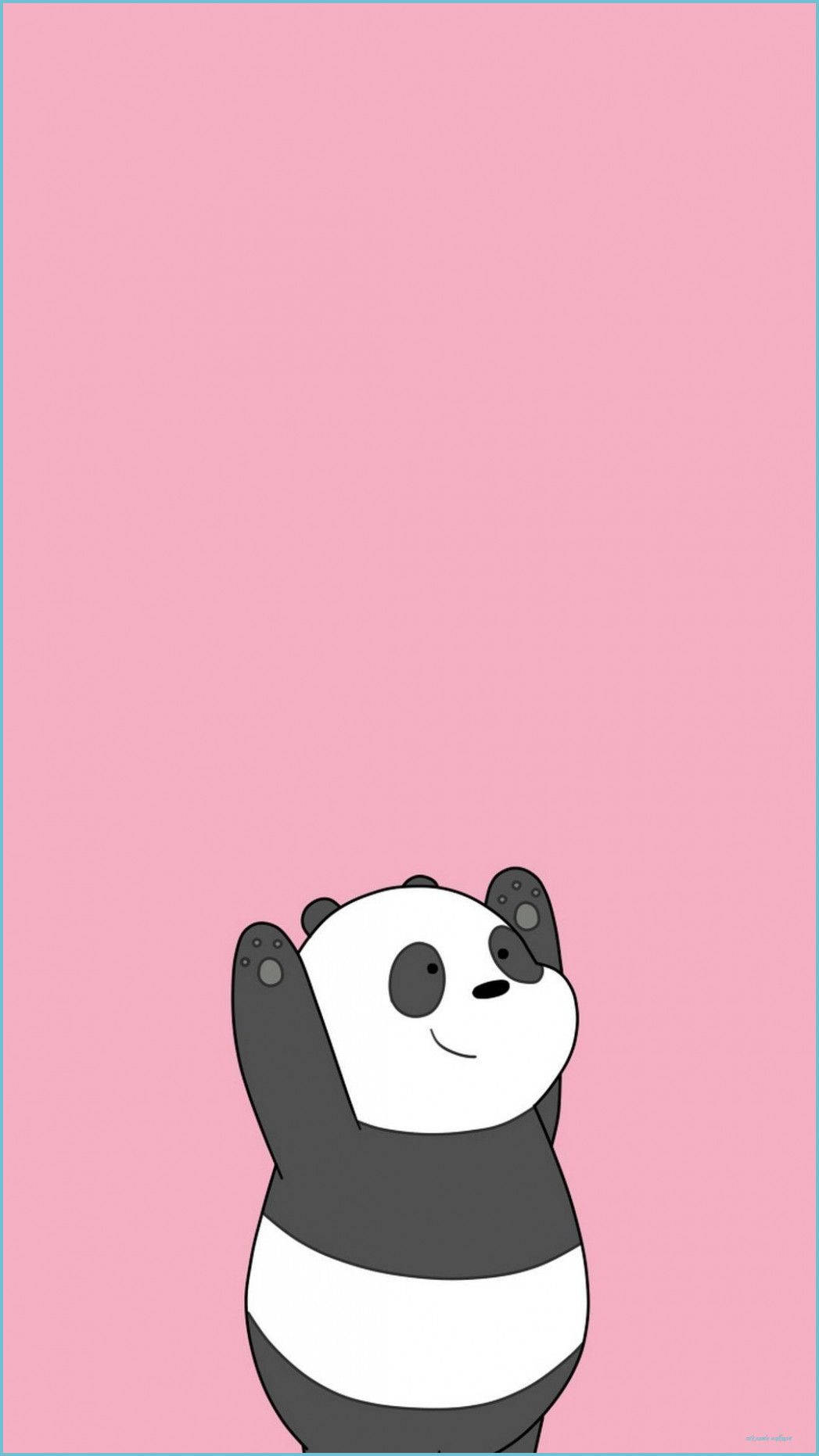 Aesthetic Panda Bear Arms Up Wallpaper