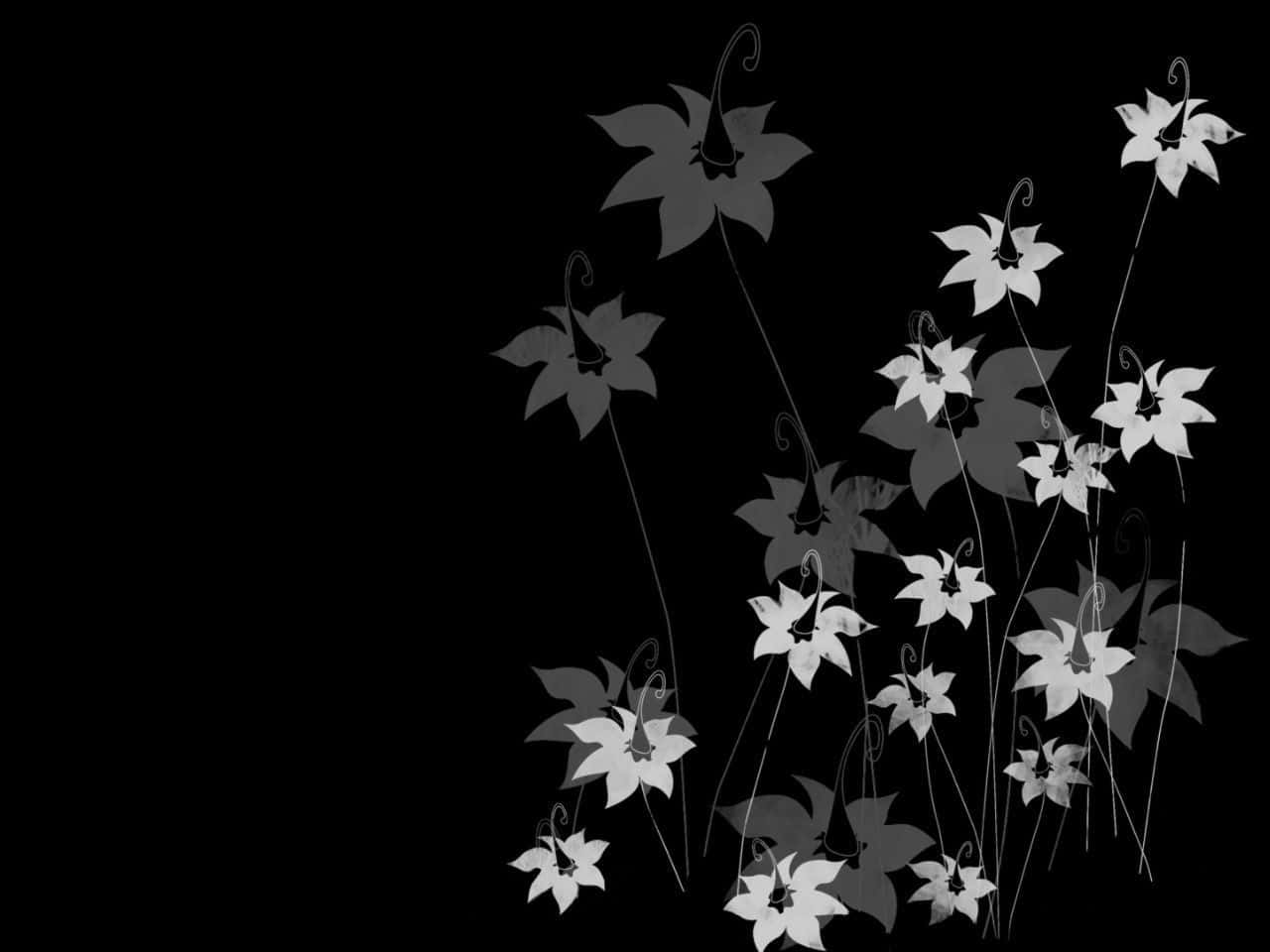 Against A Dark Background, Brightly Colored Flowers Bloom Wallpaper