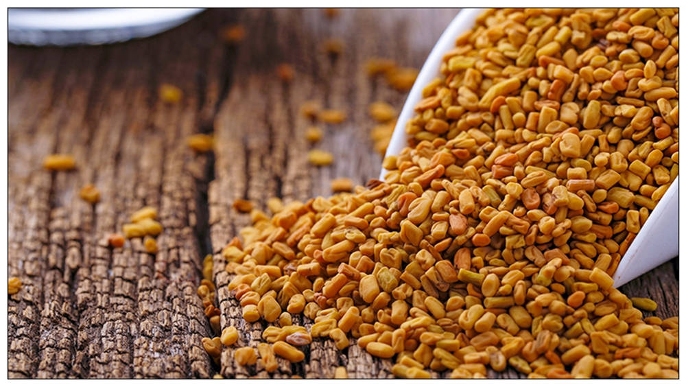 Aged Fenugreek Seeds Wallpaper