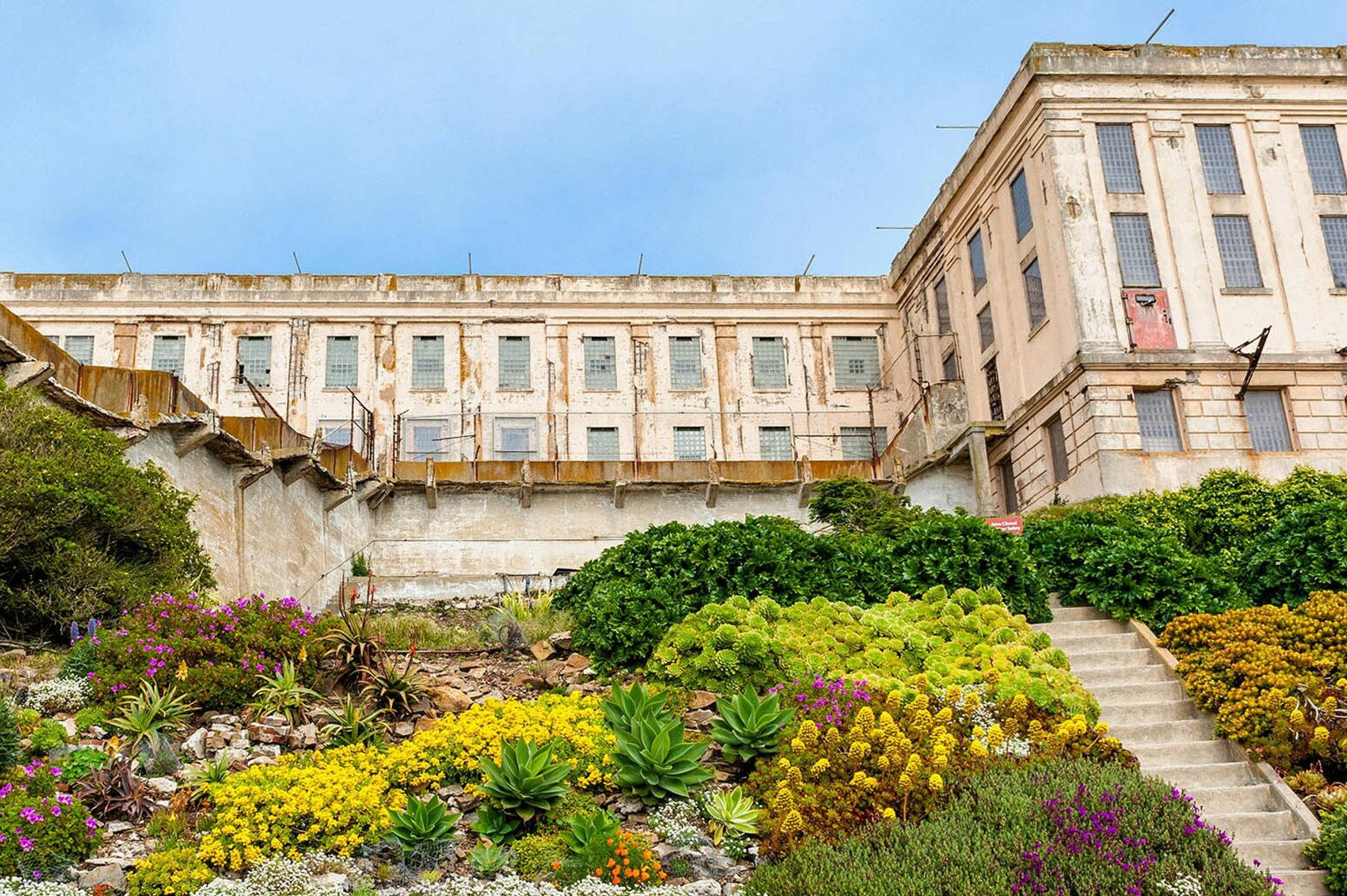 Alcatraz Island Garden Overlooking The Bay Wallpaper