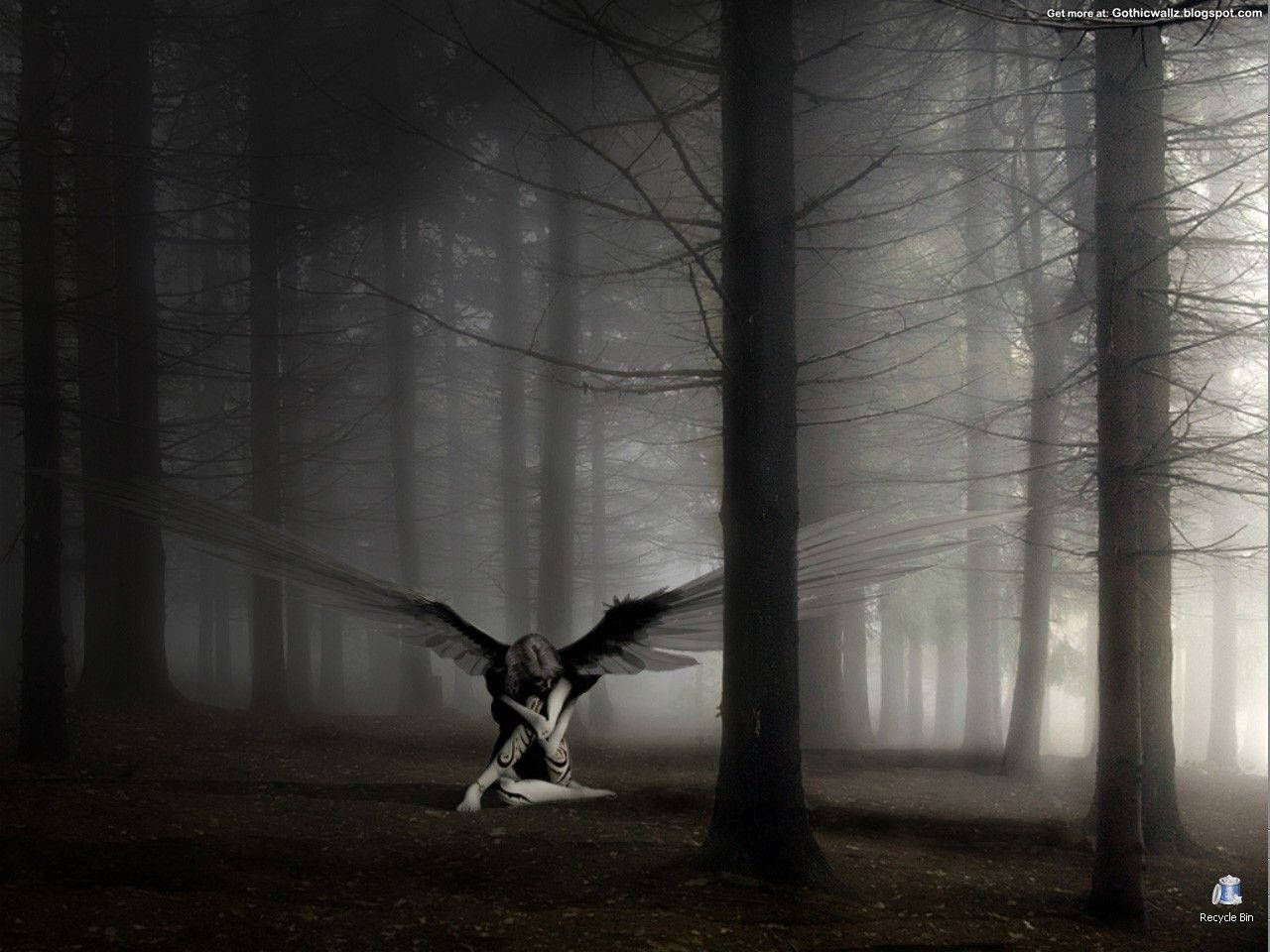 An Angelic Figure Stands Amongst The Trees In A Mysterious Gothic Forest. Wallpaper