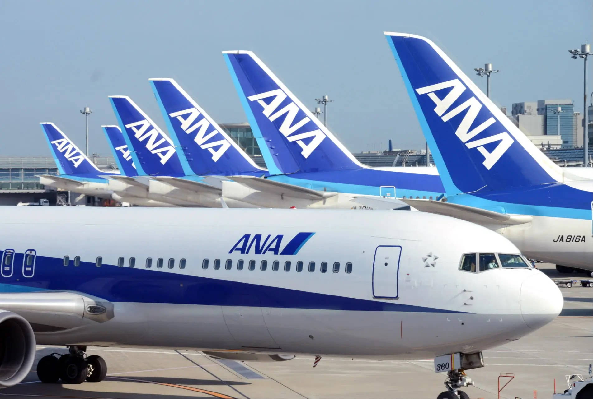 Ana Airplane Rudders Wallpaper