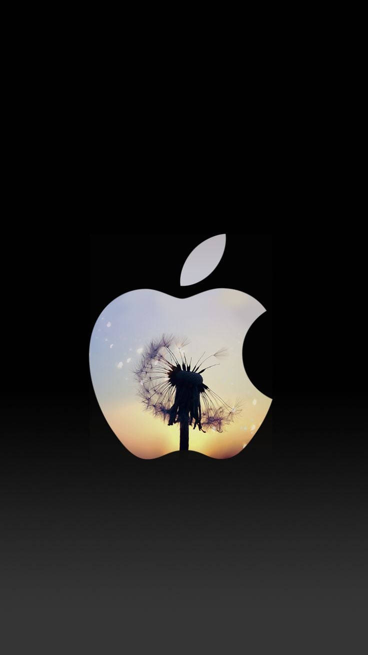 Apple Logo Cute Iphone Lock Screen Wallpaper