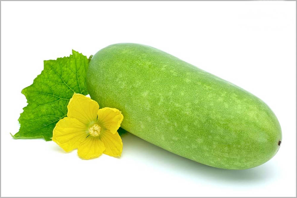 Ash Gourd With A Yellow Flower Wallpaper