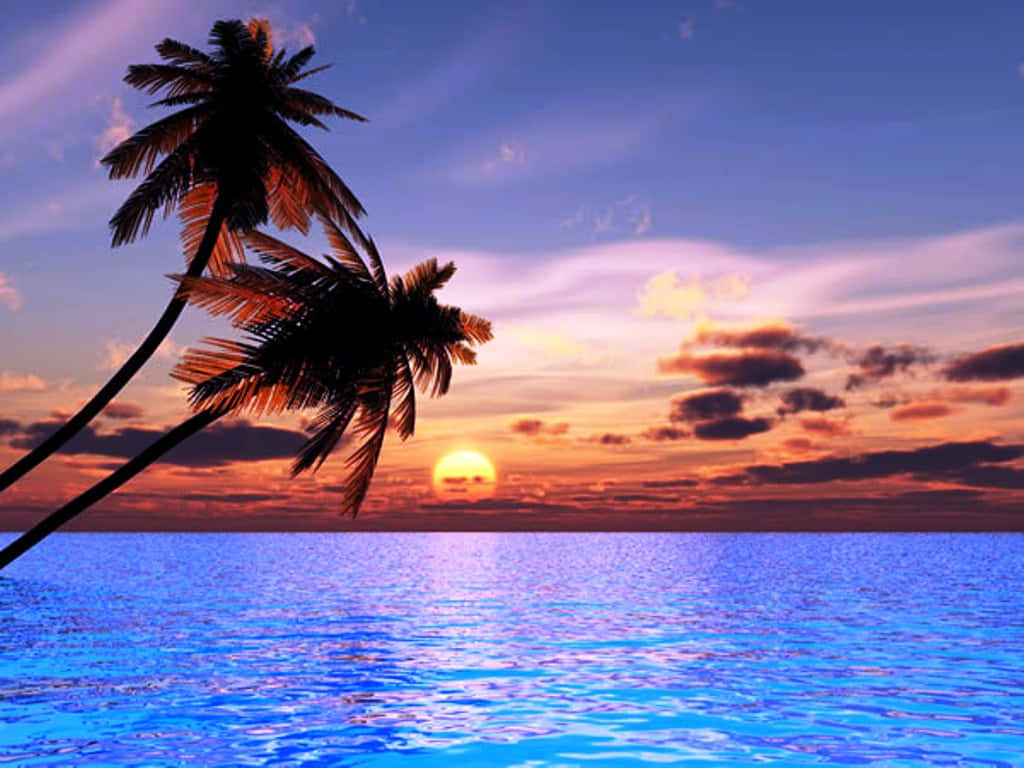 Beautiful Sea Sunset & Palm Trees Wallpaper