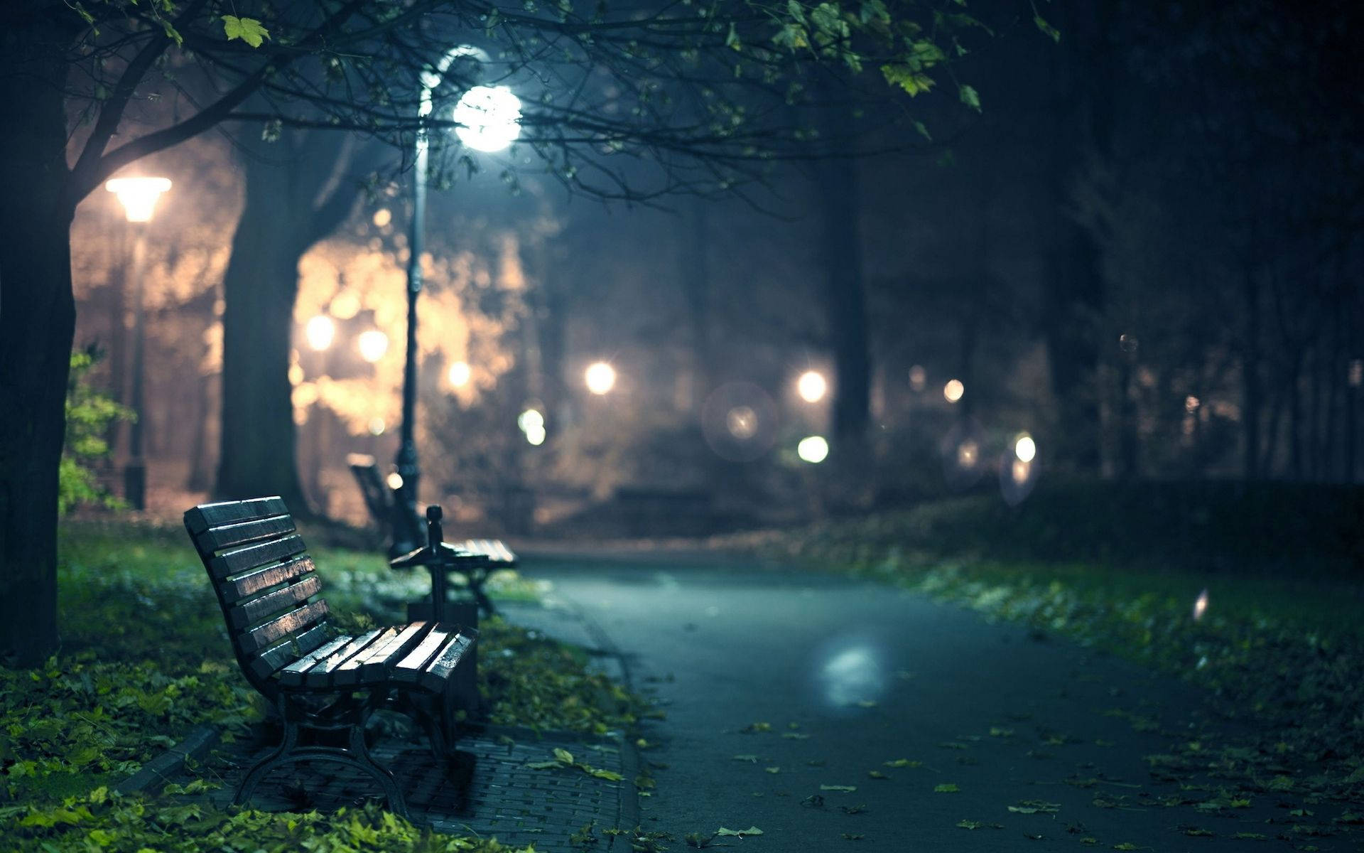 Bench Empty Park All Best Wallpaper