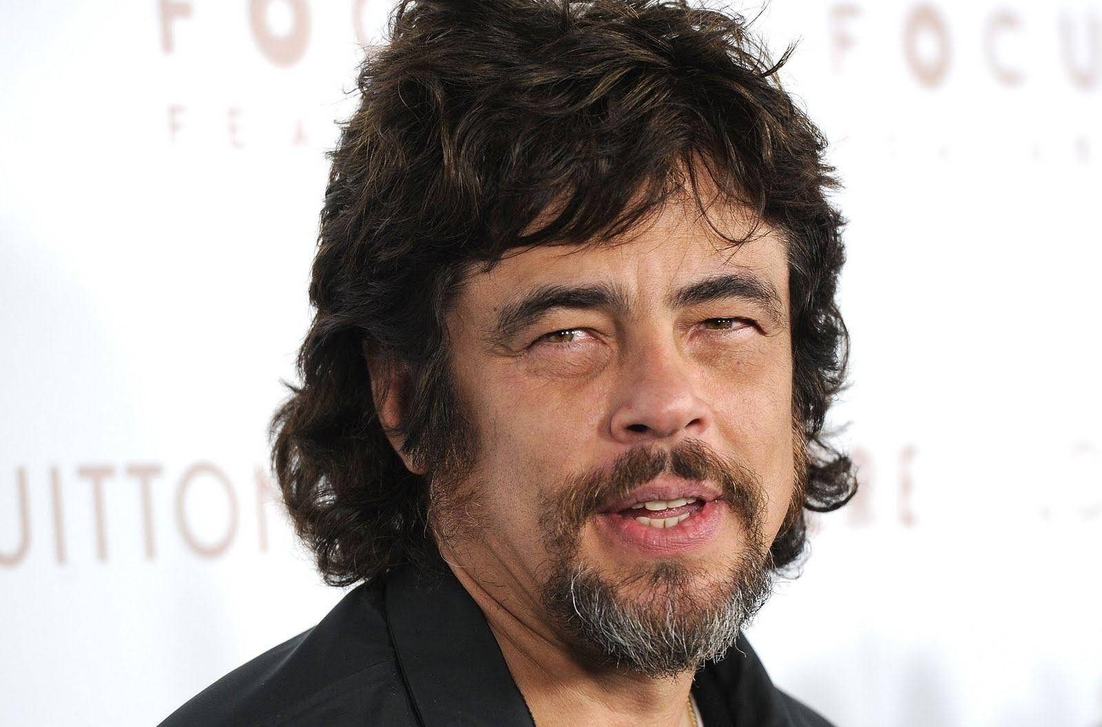 Benicio Del Toro 2010 Somewhere California Premiere Wallpaper