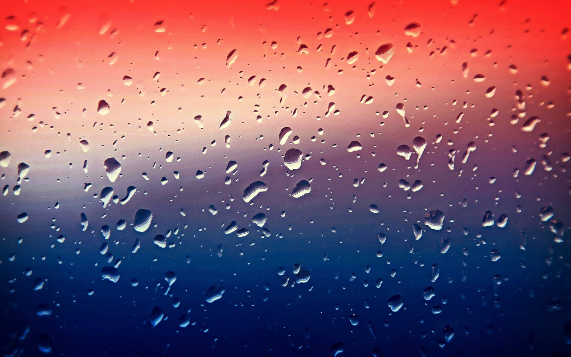 Best 4k Uhd Water Droplets Wallpaper