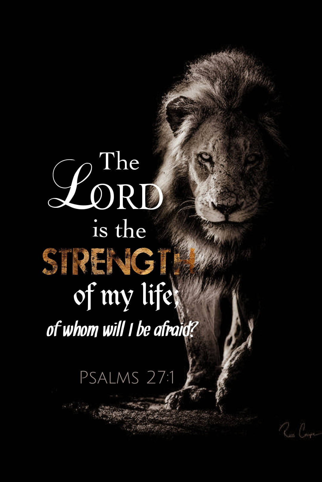 Biblical Strength Of Life Wallpaper