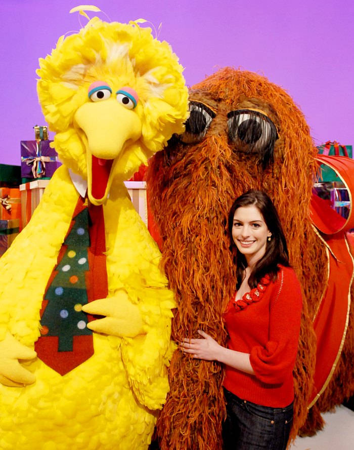 Big Bird And Anne Hathaway Wallpaper