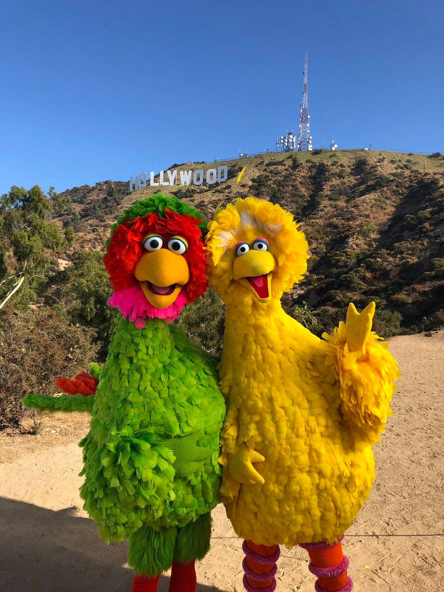 Big Bird In Hollywood Wallpaper