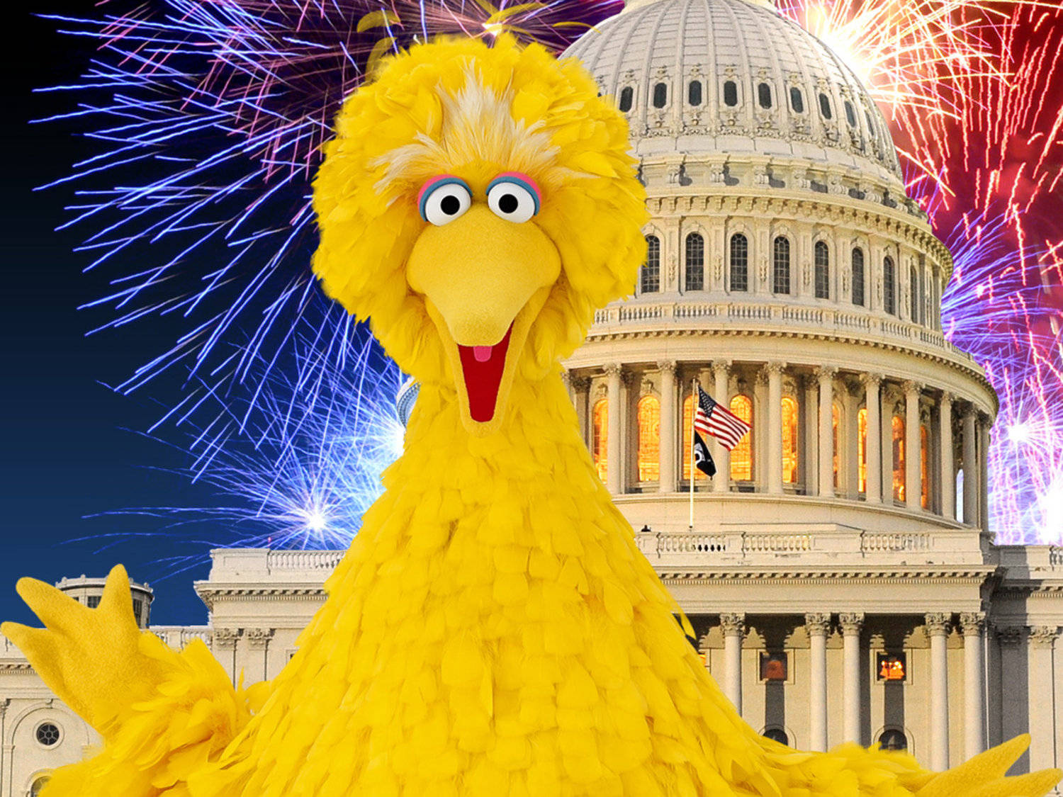 Big Bird White House Fireworks Wallpaper