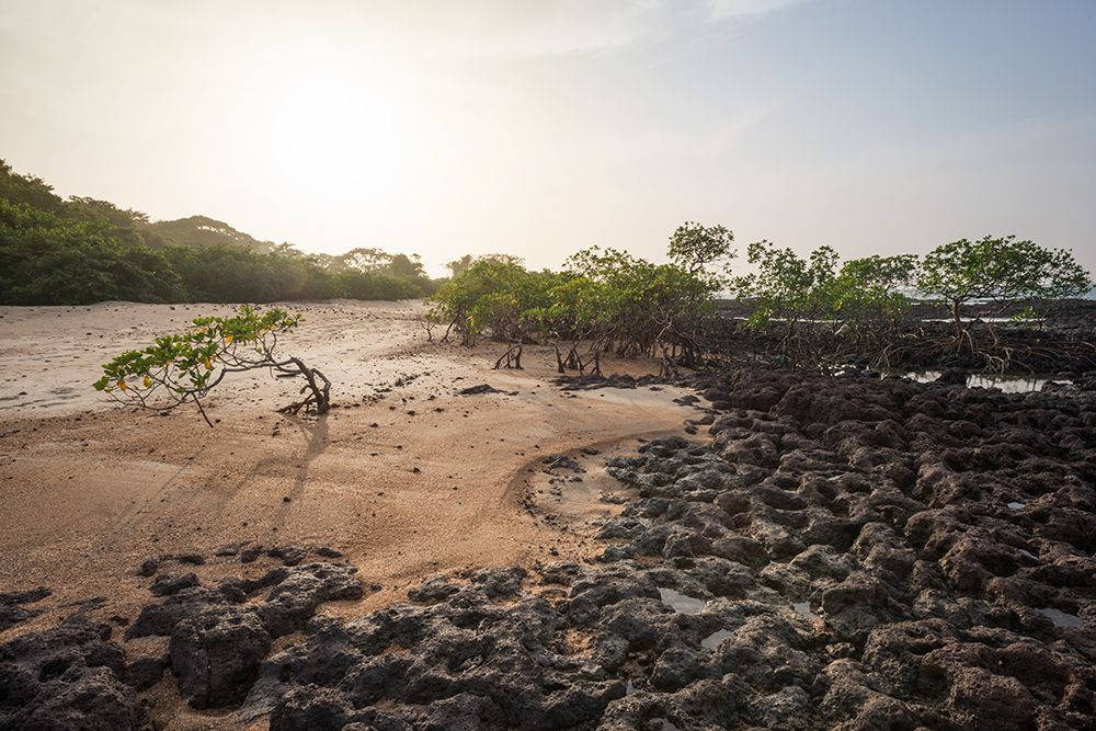 Bissagos Islands Guinea Bissau Wallpaper