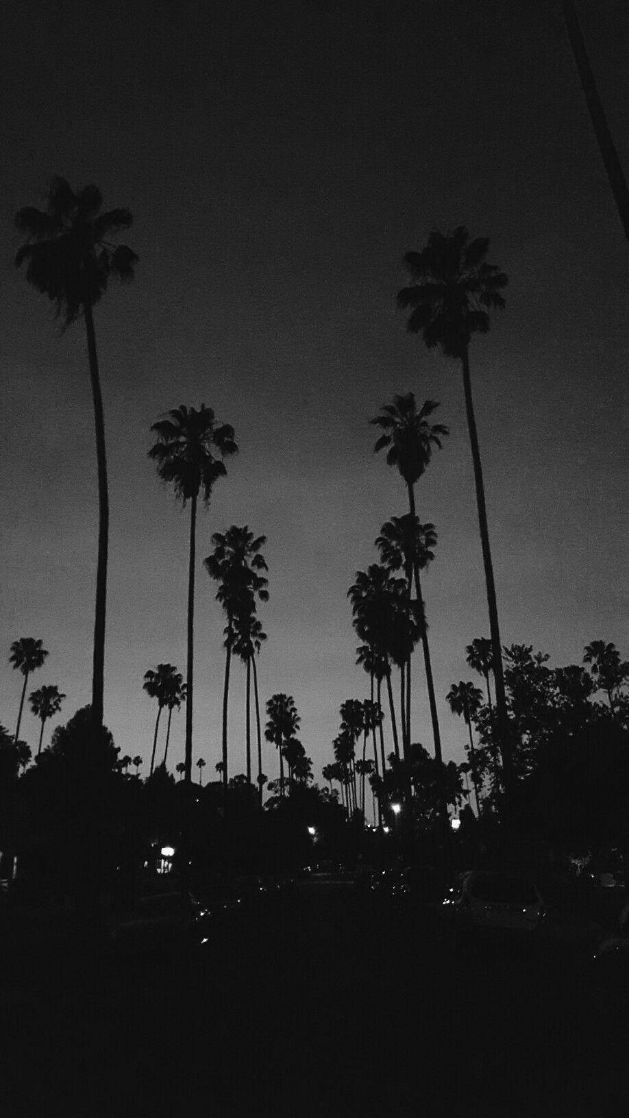 Black Aesthetic Phone Palm Trees Wallpaper