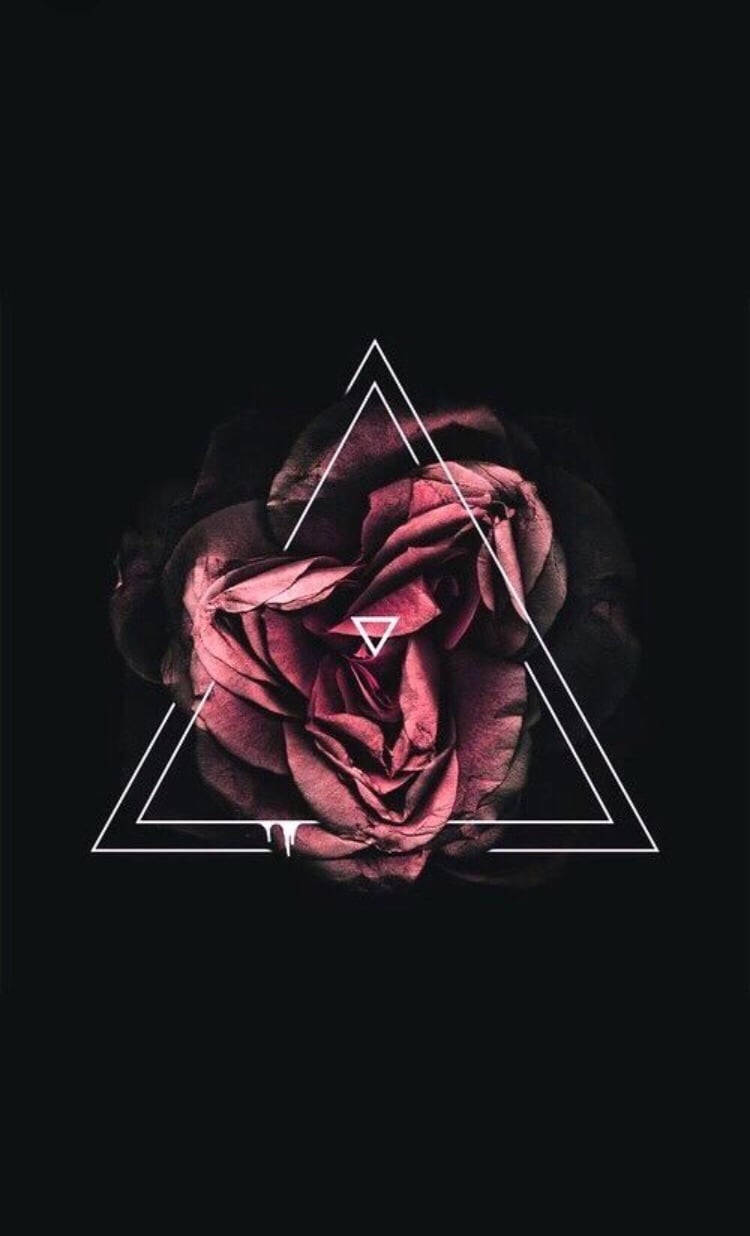 Black Aesthetic Rose Triangle Wallpaper