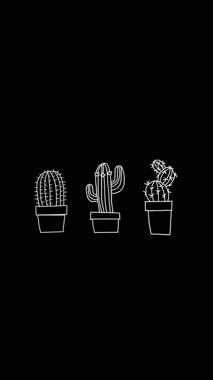 Black And White Aesthetic Three Cacti Wallpaper