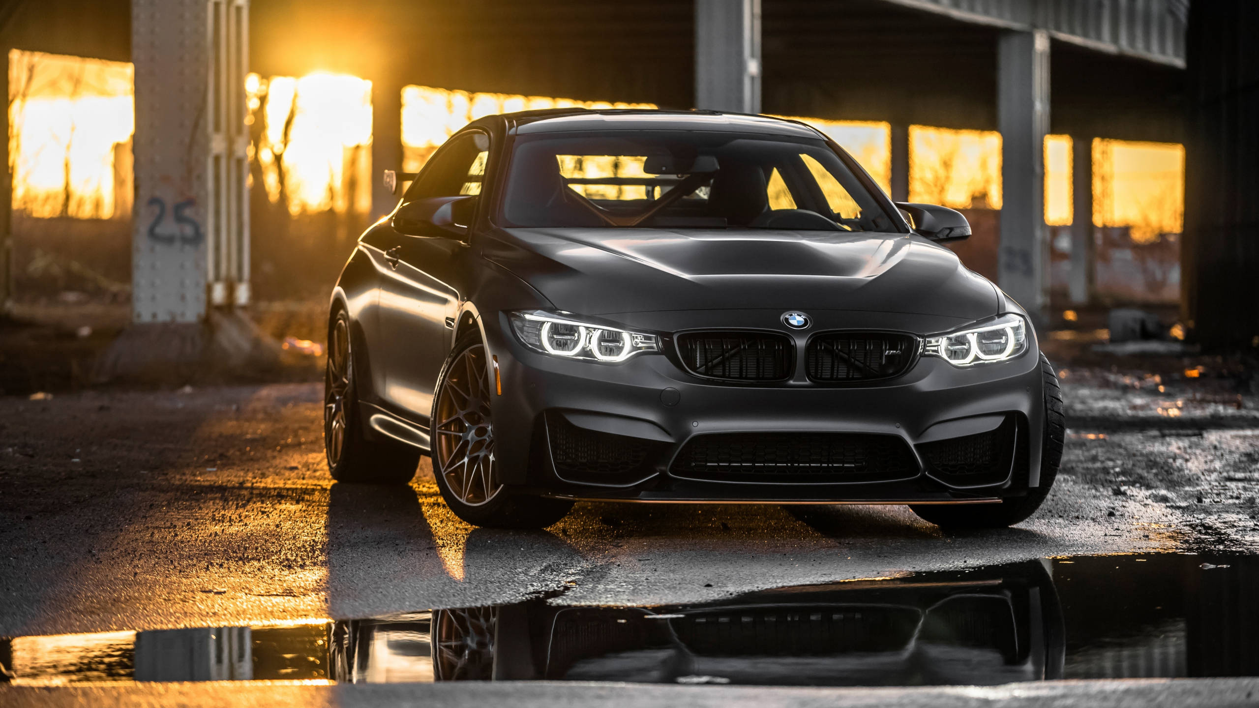 Black M4 Gts Full Hd Bmw Wallpaper