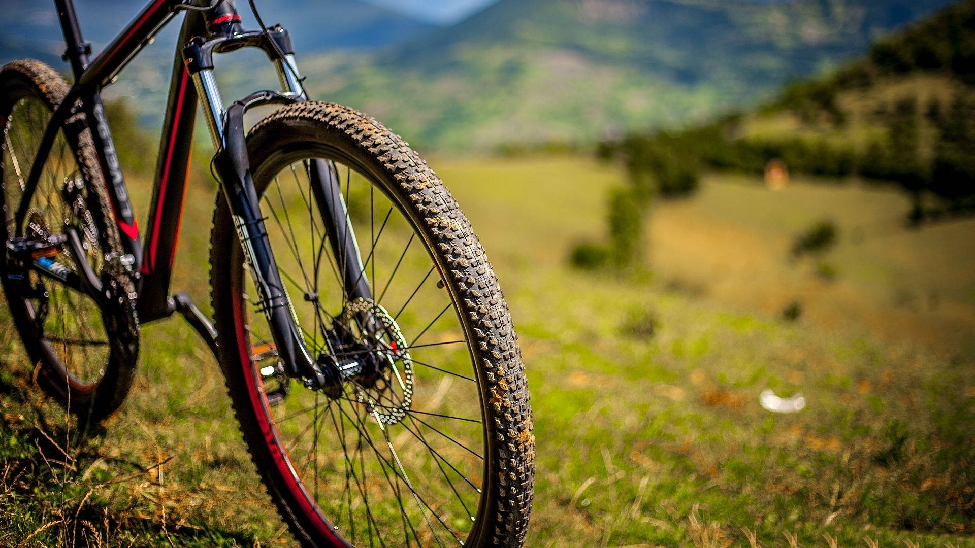 Black Mtb In Wide Grassfield Wallpaper