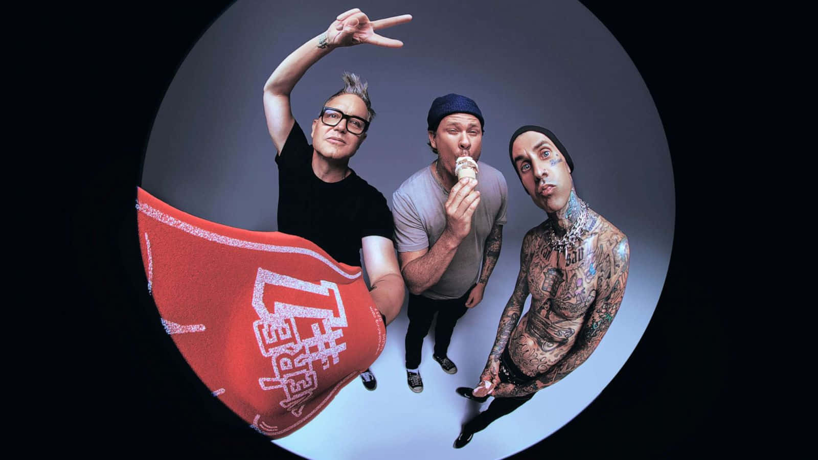 Blink182 Fisheye Portrait Wallpaper